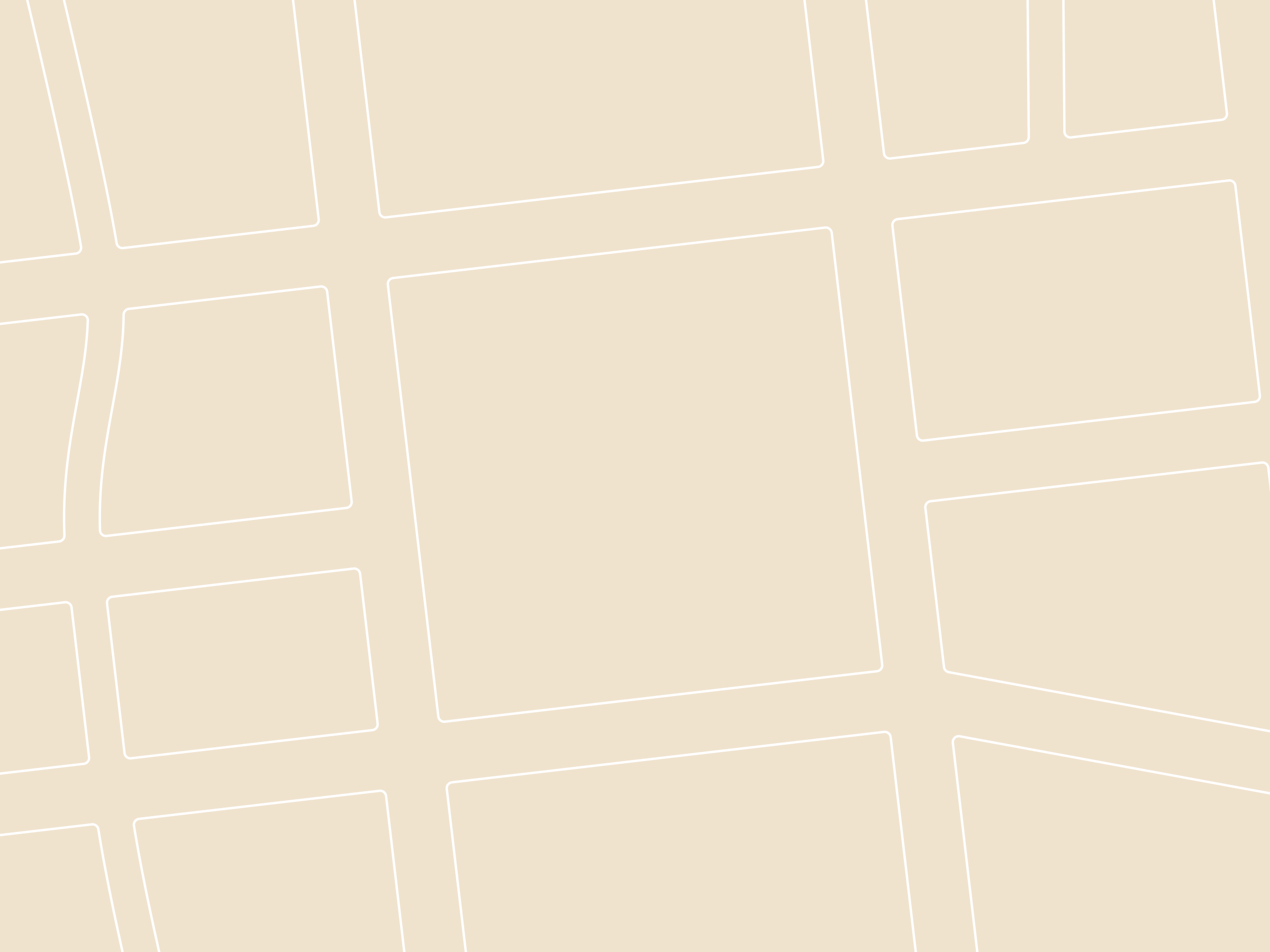 section3-bg